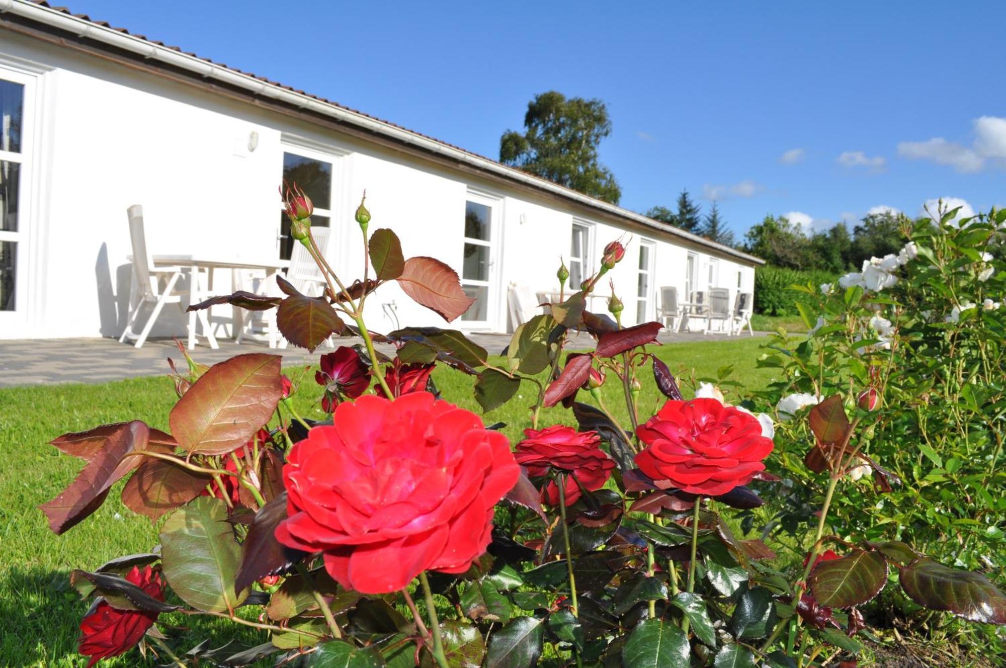 Koebenhovedskov Bed & Breakfast Rodding Экстерьер фото
